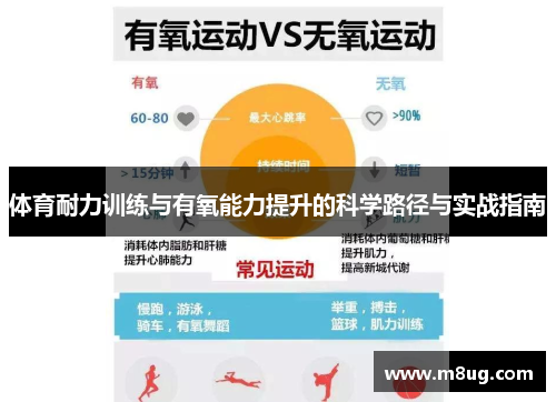 体育耐力训练与有氧能力提升的科学路径与实战指南